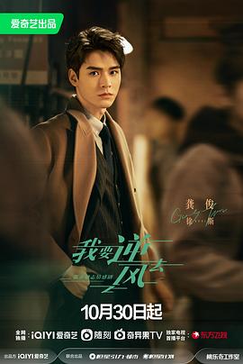 成都seo新站优化